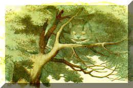 The Cat Only Grinned