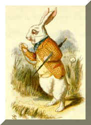 The White Rabbit